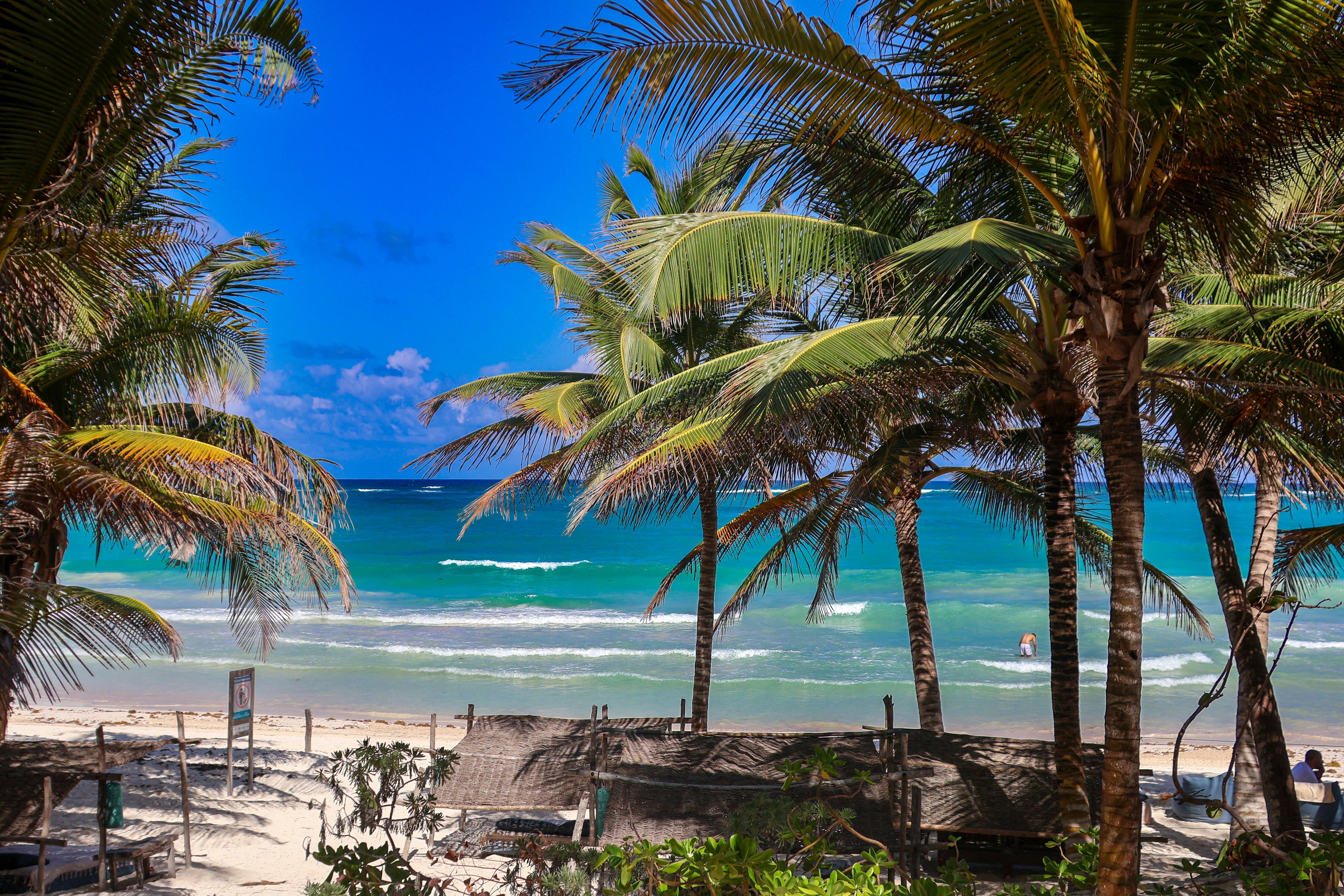 Riviera Maya beach