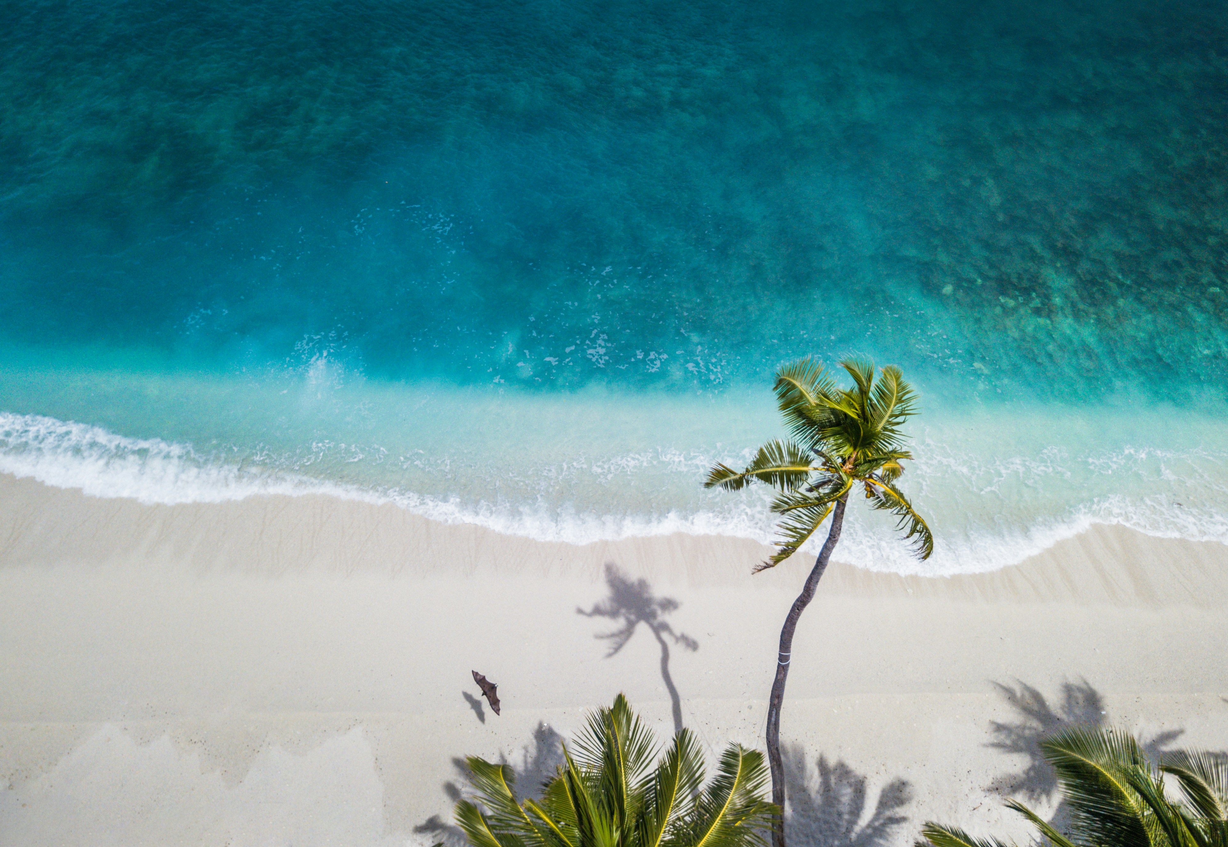 Aerial coastline