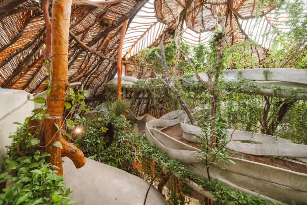 Jungle eco-casita